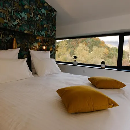 Domaine De Chabanne Bed & Breakfast Crupies