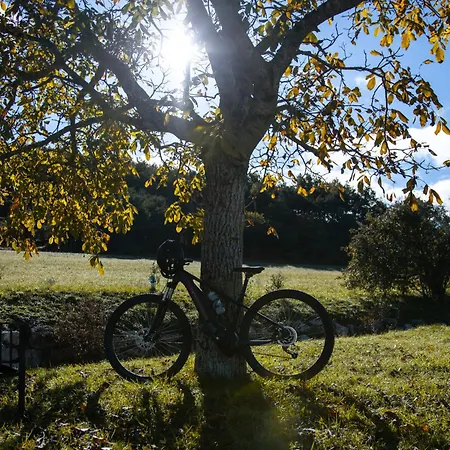 Domaine De Chabanne Bed & Breakfast